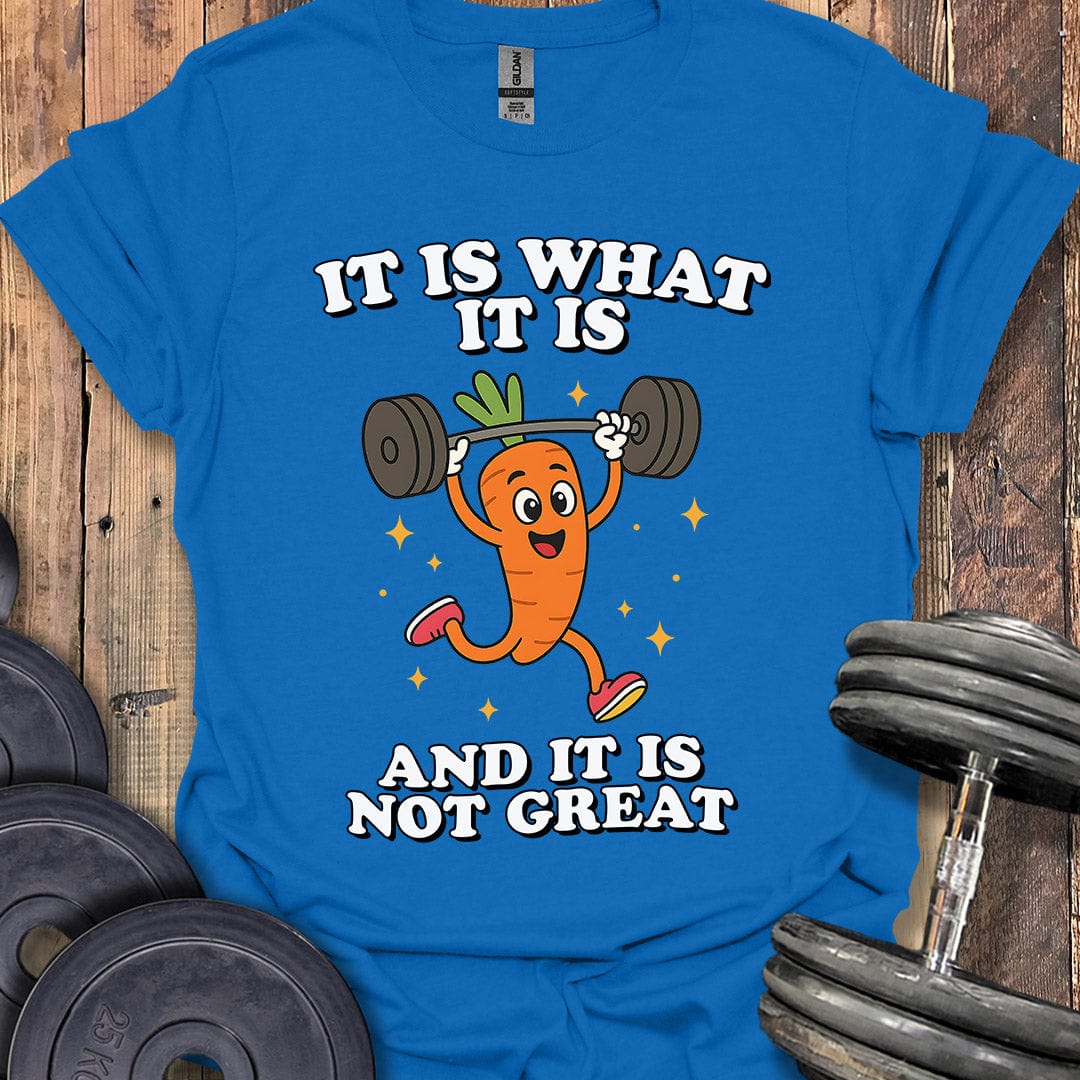 It Is What It Is T-Shirt