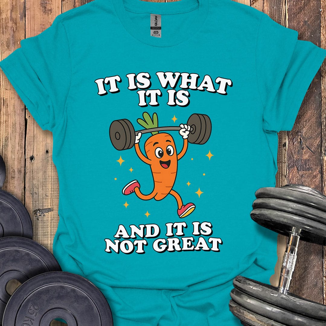 It Is What It Is T-Shirt