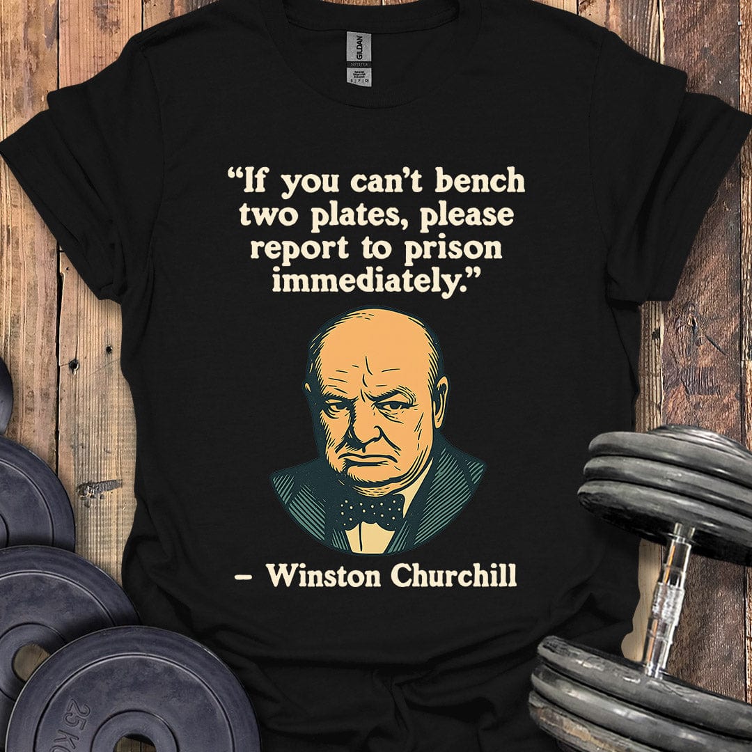 Winston Churchill Bench Quote T-Shirt
