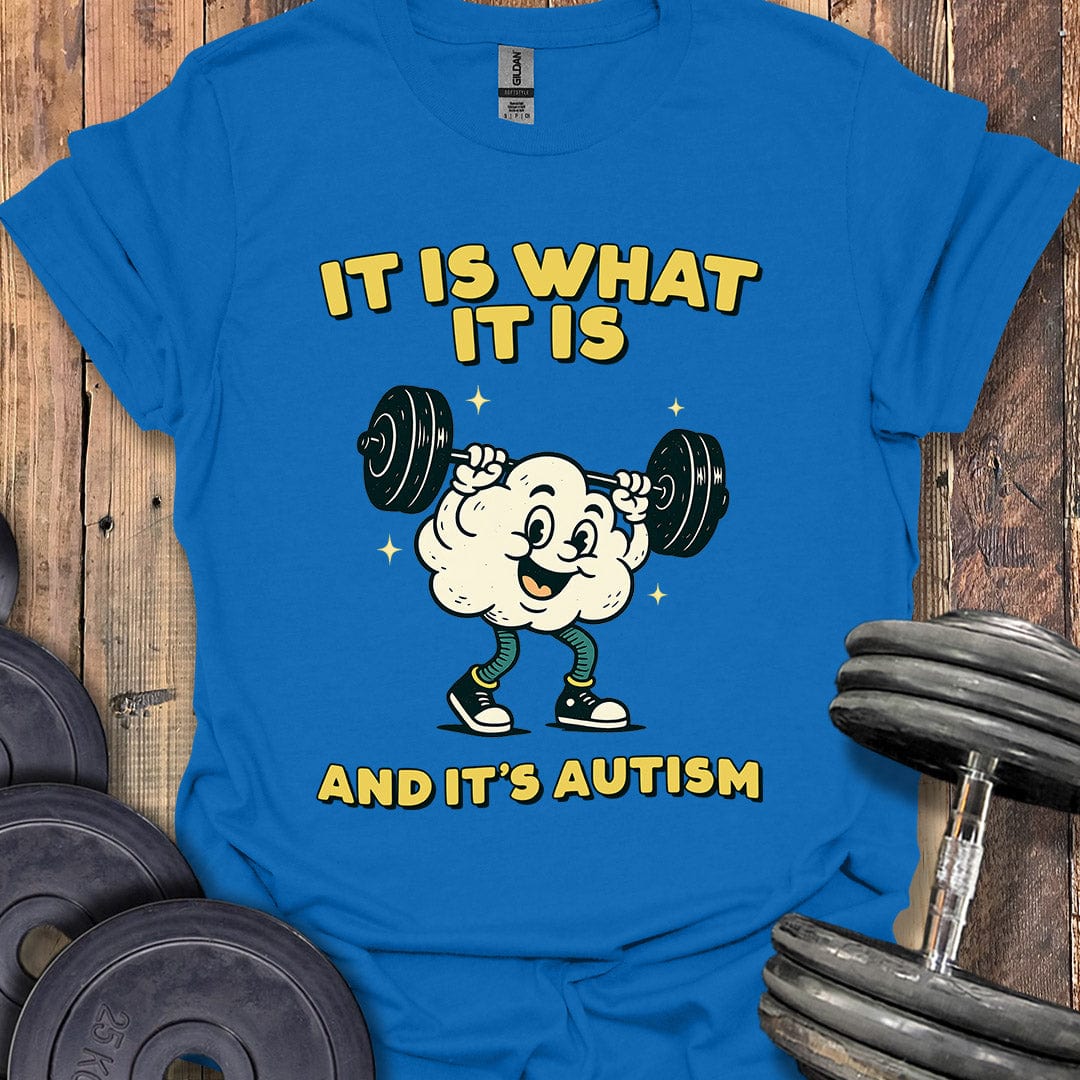 It's Autism T-Shirt